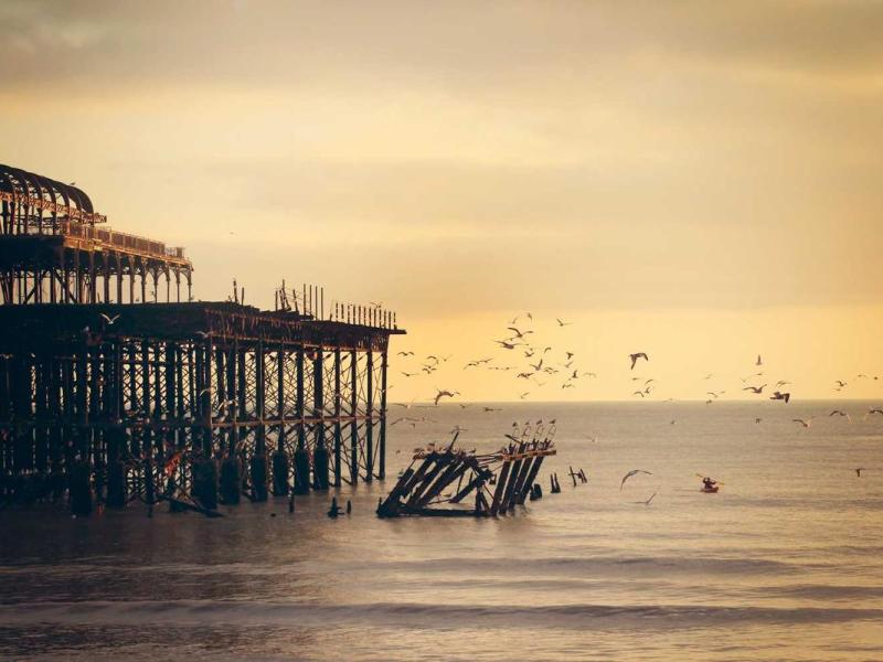 Mi sagittis lectus mattis magna urna auctor dictum curabitur rutrum risus mauris cras