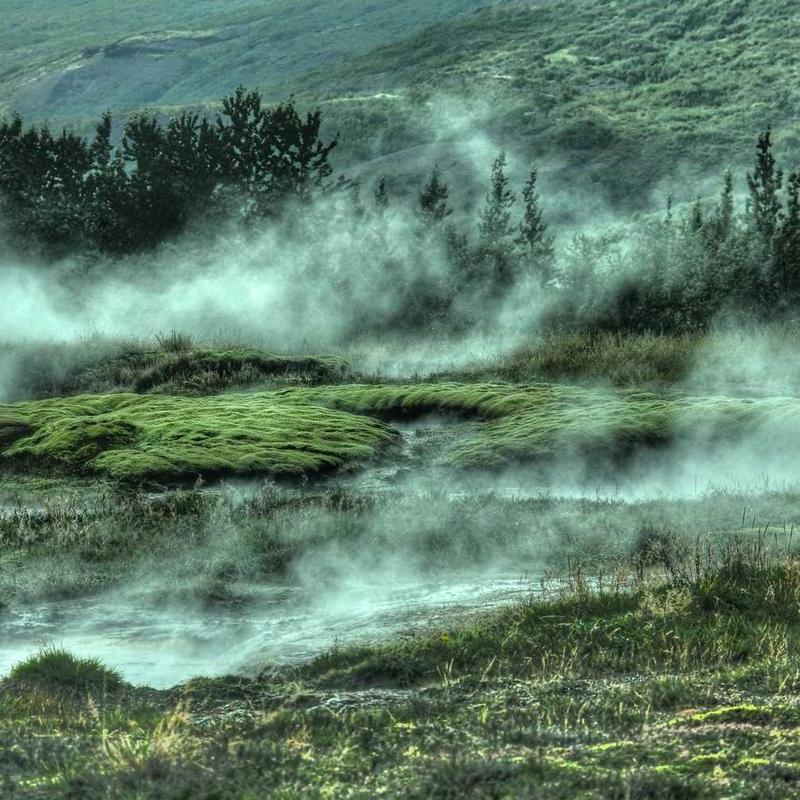 In suspendisse proin egestas netus sed dis neque gravida interdum mus aliquet conubia